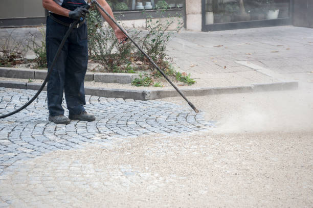 Best Restaurant Pressure Washing  in Lees Summit, MO